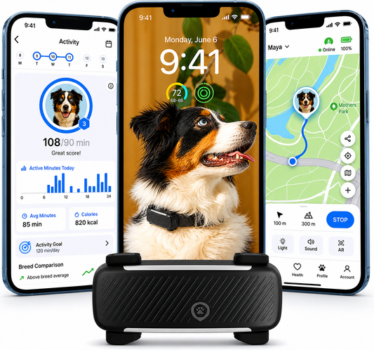 Advanced GPS Smart Dog Tracker-  Real Time Location, Vital Signs & Barking Detection/ Virtual Fence Escape Alerts