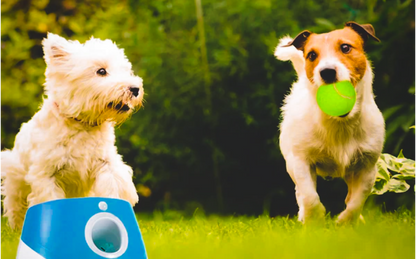 Automatic Ball  Launcher Machine-  Hands Free System with 3 Distance Levels