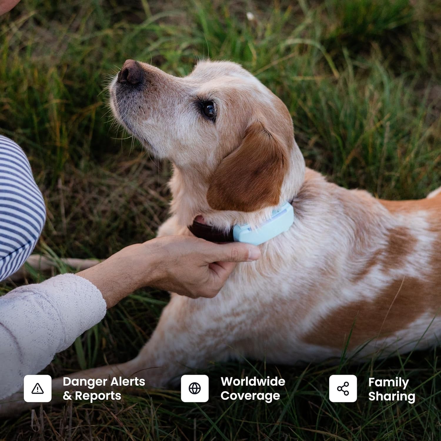 Smart Dog GPS Tracker | Live Pet Tracker with Virtual Fence | Vital Signs Monitoring of Heart & Respiratory Rate | Bark Monitoring | Dog Collar Attachment (Black)
