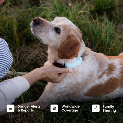Smart Dog GPS Tracker | Live Pet Tracker with Virtual Fence | Vital Signs Monitoring of Heart & Respiratory Rate | Bark Monitoring | Dog Collar Attachment (Black)