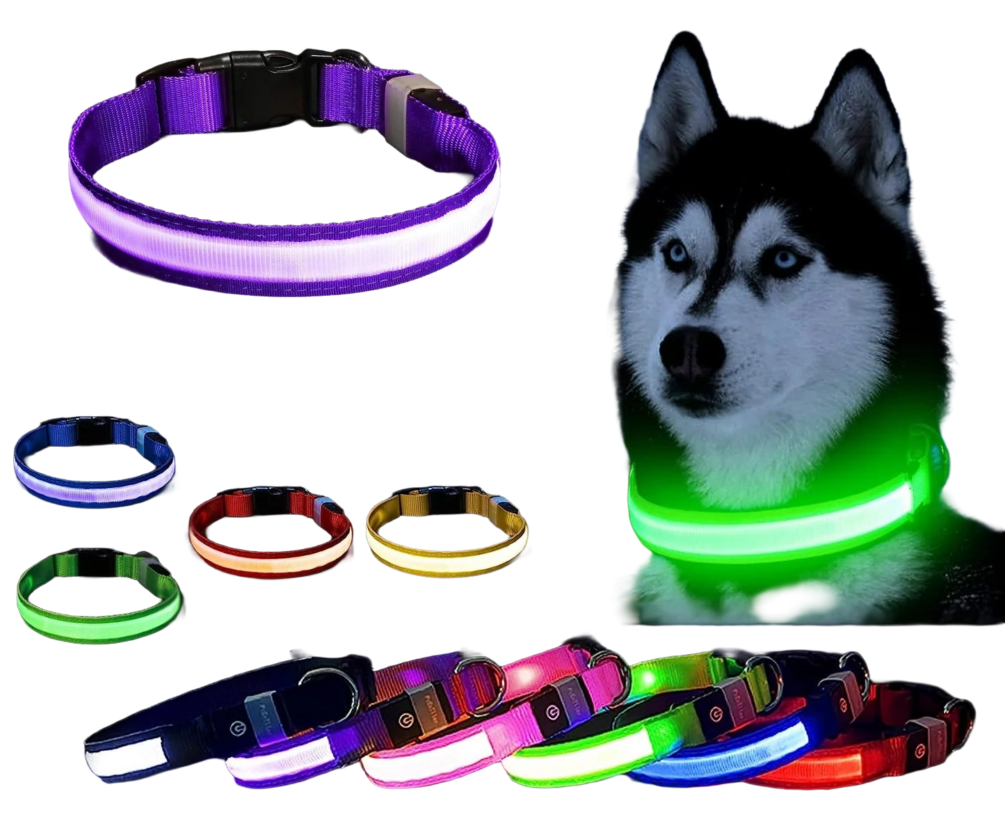 Safety LED Collar-    Adjustable and Waterproof with 3 Light Modes