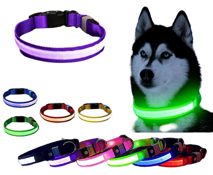 Safety LED Collar-    Adjustable and Waterproof with 3 Light Modes