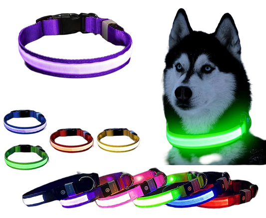 Safety LED Collar-    Adjustable and Waterproof with 3 Light Modes