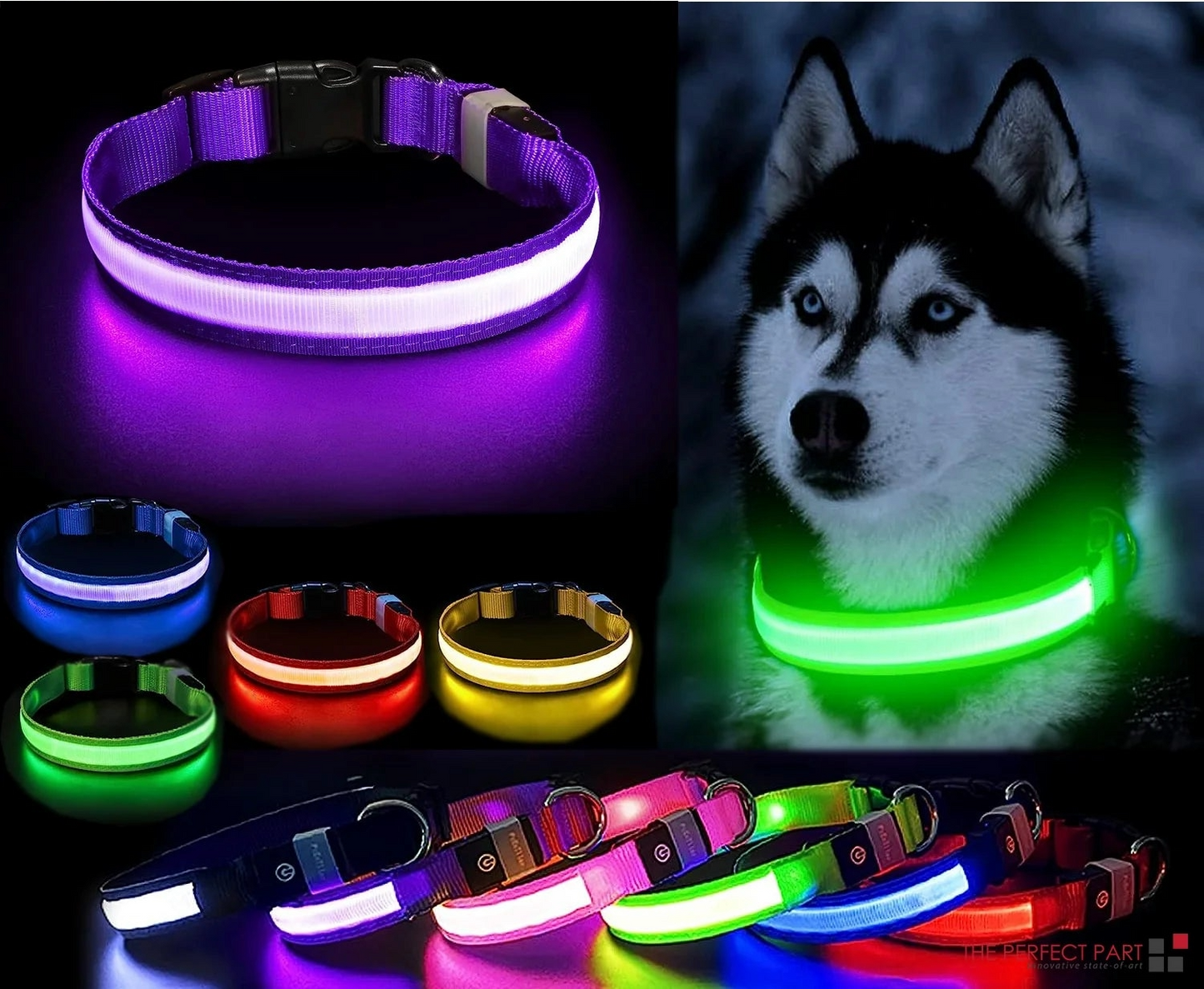 Safety LED Collar-    Adjustable and Waterproof with 3 Light Modes
