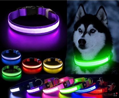 Safety LED Collar-    Adjustable and Waterproof with 3 Light Modes